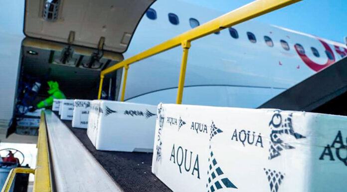 Jet Smart irrumpe en el mercado de la carga aérea