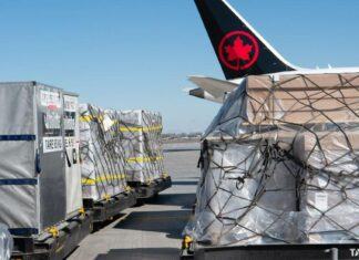 Air Canada Cargo Implementa APIs para la integración de aplicaciones con sus clientes