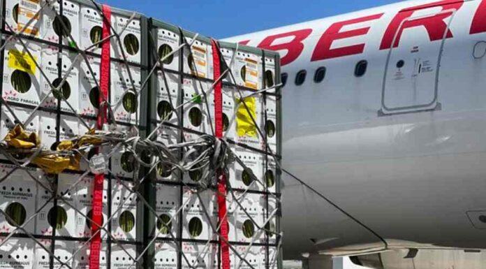 IAG Cargo reporta un sólido tercer trimestre 2021