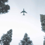 TIACA anuncia los ganadores de los Premios a la Sostenibilidad 2023