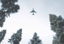 El informe Insights 2023 de TIACA revela que la carga aérea está impulsando la sostenibilidad