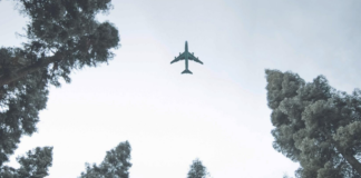 TIACA abre la Encuesta Anual de Sostenibilidad: Contribuya a dar forma al futuro