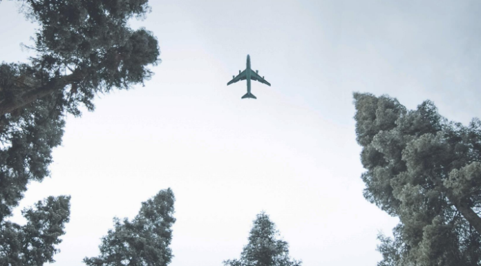 TIACA abre la Encuesta Anual de Sostenibilidad: Contribuya a dar forma al futuro