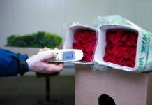 Kuehne+Nagel y LATAM: Carbono neutral en la última temporada de Día de la Madre