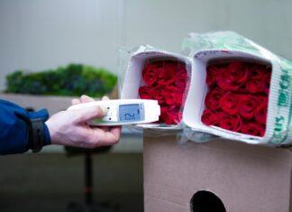 Kuehne+Nagel y LATAM: Carbono neutral en la última temporada de Día de la Madre