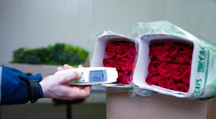 Kuehne+Nagel y LATAM: Carbono neutral en la última temporada de Día de la Madre