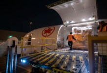 Air Canada se lanza al exclusivo mercado de transporte de caballos