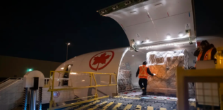 Air Canada se lanza al exclusivo mercado de transporte de caballos