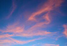 DSV y el medio ambiente: una iniciativa de responsabilidad corporativa