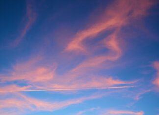 DSV y el medio ambiente: una iniciativa de responsabilidad corporativa