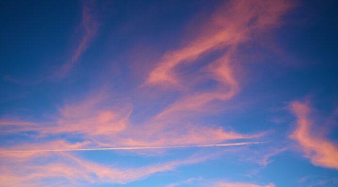 DSV y el medio ambiente: una iniciativa de responsabilidad corporativa