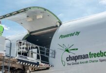 Bernardo Nunes nombrado miembro de la Junta Directiva de Chapman Freeborn