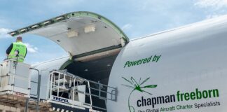 Bernardo Nunes nombrado miembro de la Junta Directiva de Chapman Freeborn