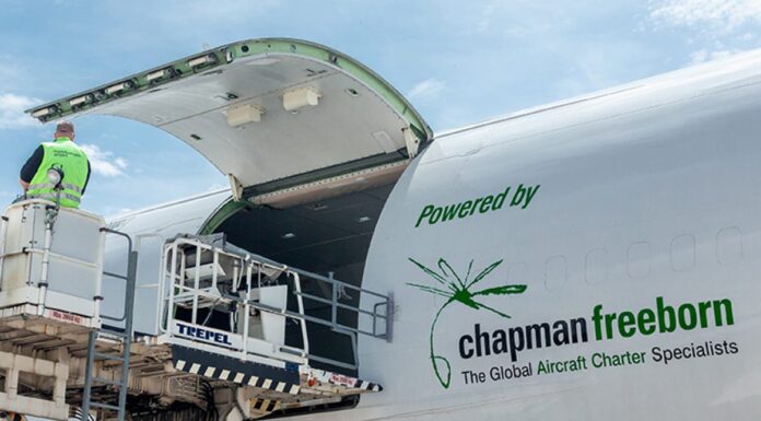 Bernardo Nunes nombrado miembro de la Junta Directiva de Chapman Freeborn