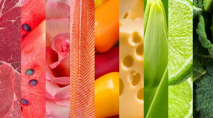 Rhenus Fresh, nuevo servicio para manejo de perecibles en Chile