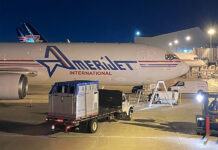 Amerijet, uno de los mejores aliados para el transporte de equinos