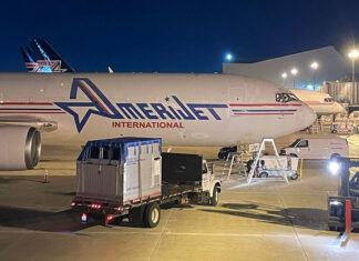 Amerijet, uno de los mejores aliados para el transporte de equinos