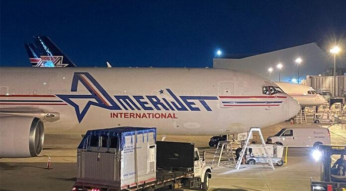 Amerijet, uno de los mejores aliados para el transporte de equinos