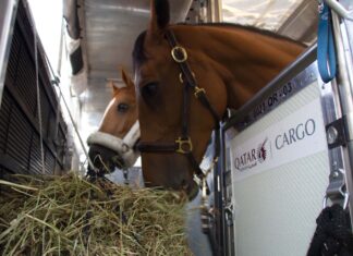 Qatar Airways Cargo mejora su servicio para el envío de animales vivos