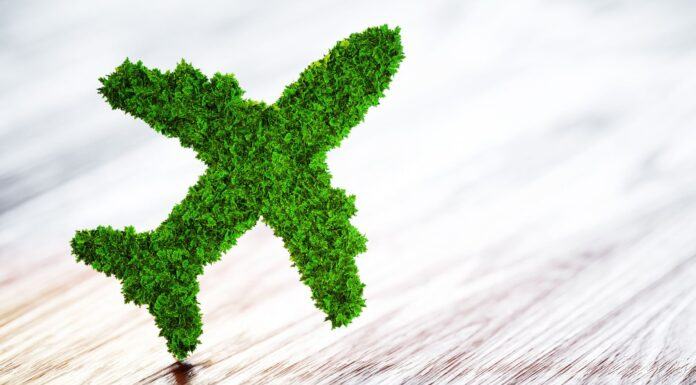 TIACA abre el período de solicitud para los premios a la sostenibilidad de la carga aérea