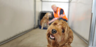 Qatar Airways Cargo será anfitrión del evento ATA 2025