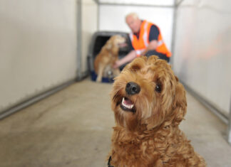 Qatar Airways Cargo será anfitrión del evento ATA 2025