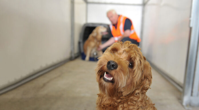 Qatar Airways Cargo será anfitrión del evento ATA 2025