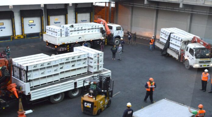 Talma Perú nombra nuevo Gerente General