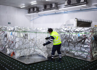 SCL: Aerosan está lista para la temporada de fruta