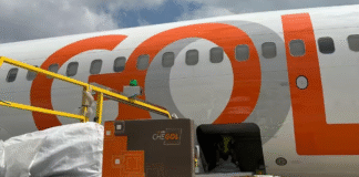 GOLLOG reunió a sus GSAs en Buenos Aires para consolidar su estrategia internacional