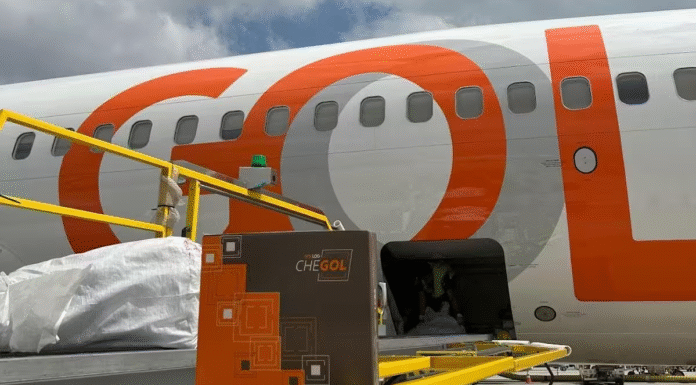 GOLLOG reunió a sus GSAs en Buenos Aires para consolidar su estrategia internacional